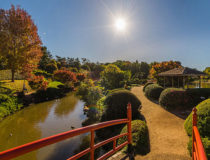 toowoomba