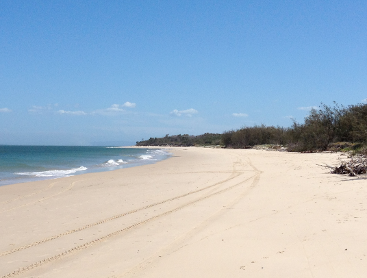 Bribie Island